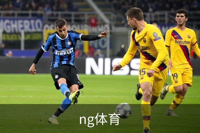 ng体育公司简介